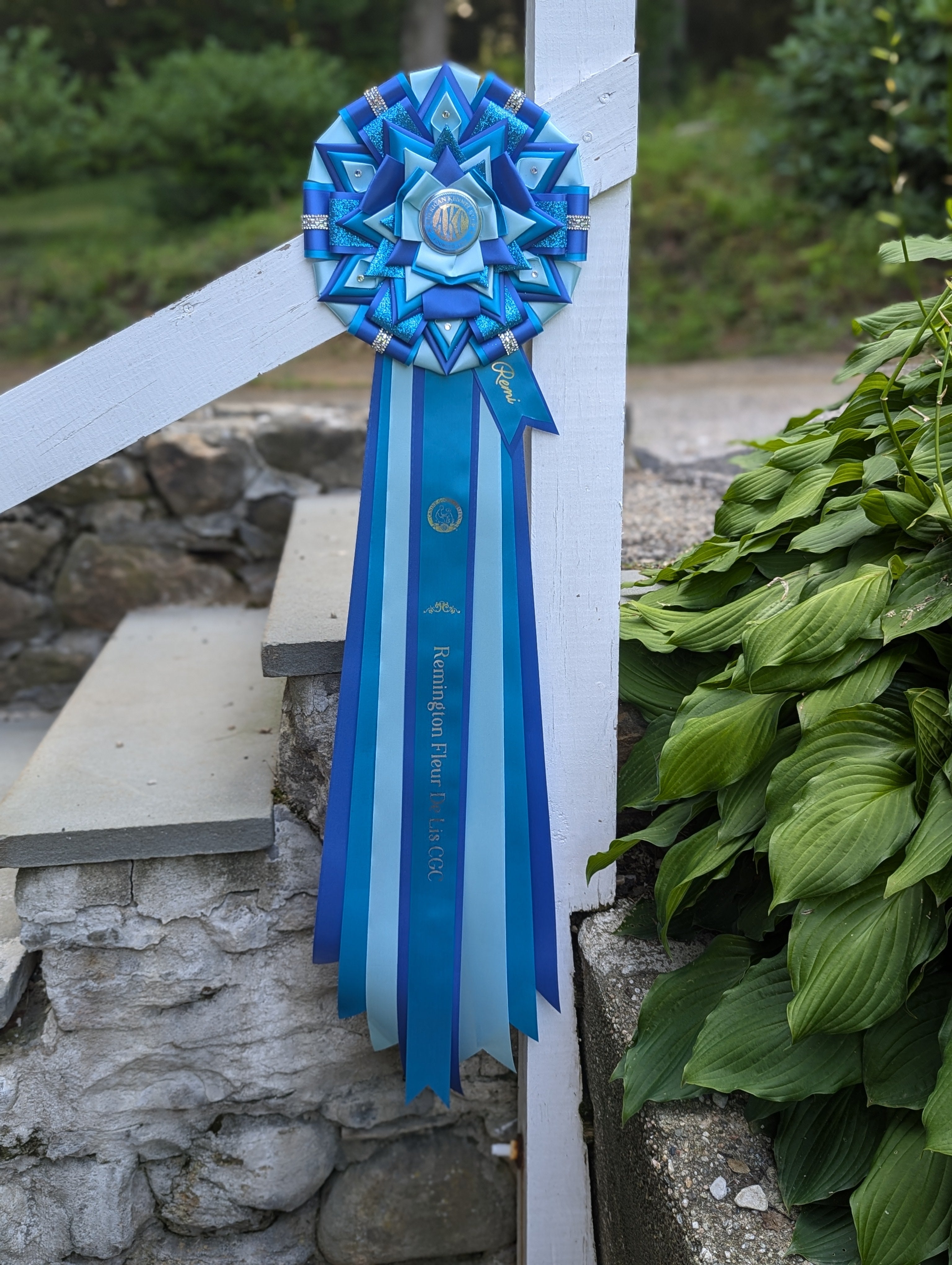 ROSETTE - "Hazel" - Studio Finished Rosette - 10.5" x 32"