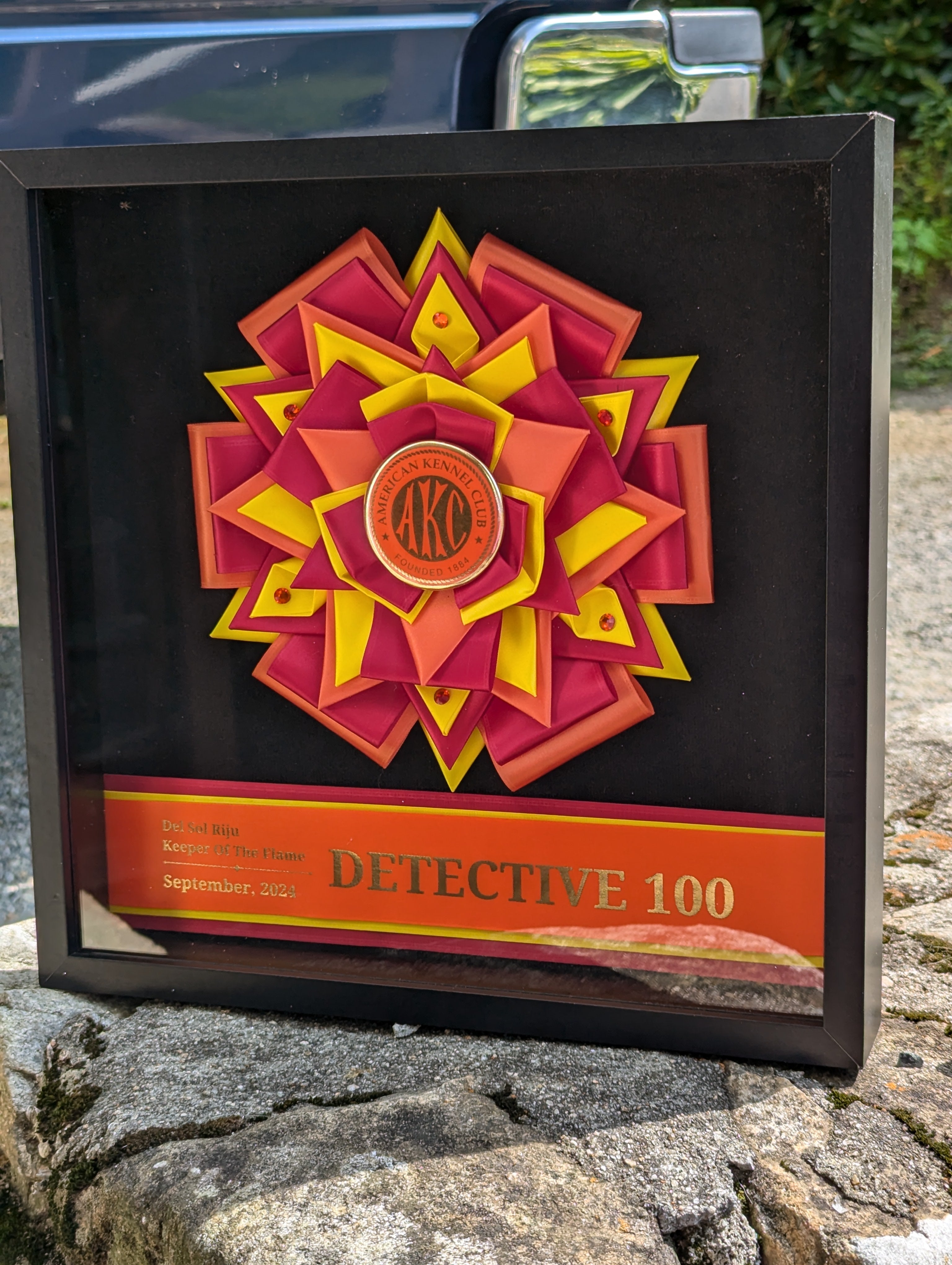 ROSETTE - "Fable" - Studio Finished Shadowbox Rosette Variation - 12" x 12"