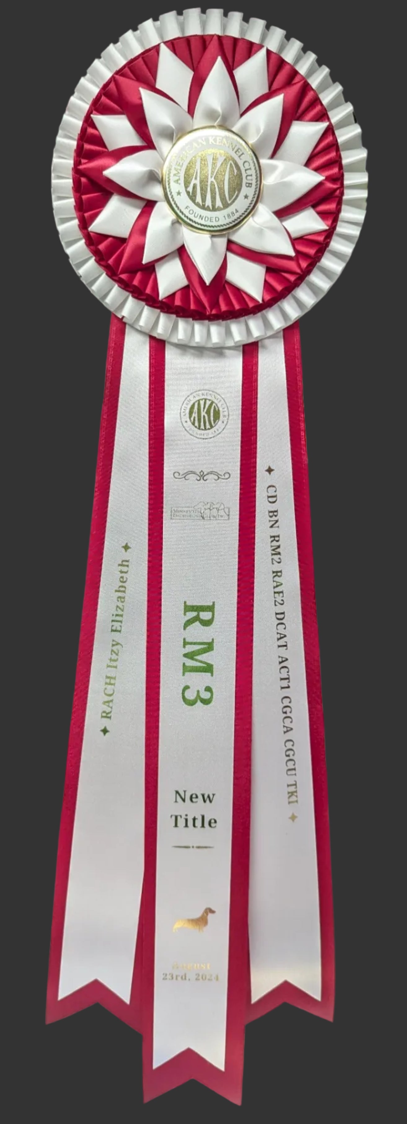 ROSETTE - "Colby" - Studio Finished Rosette - 7.5" x 22"