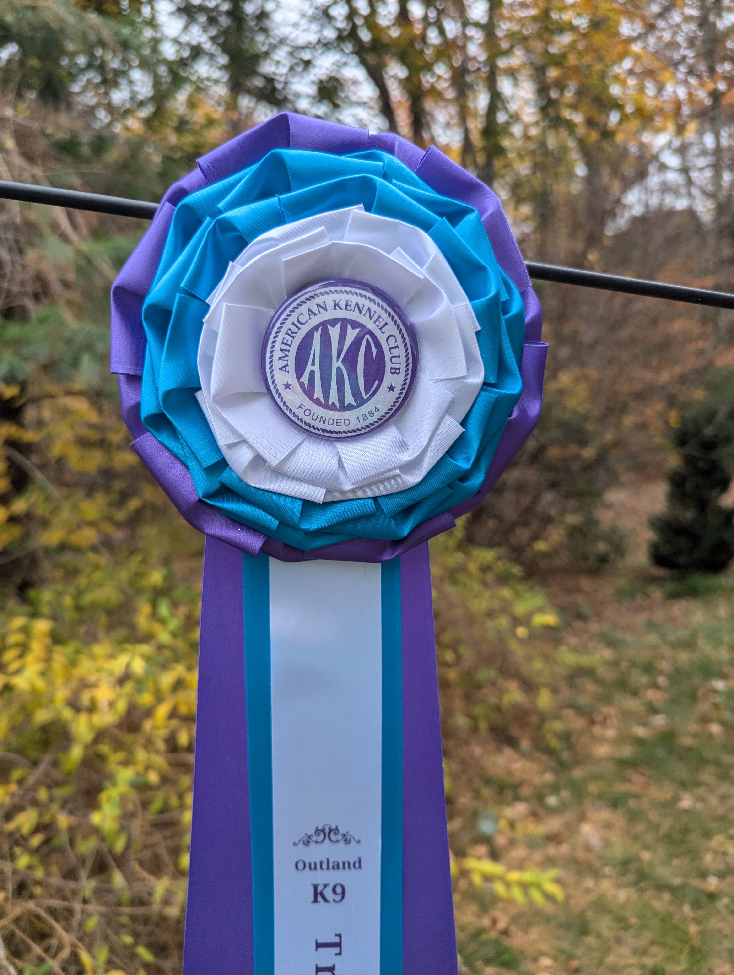 FEATURED:  ROSETTE - "Rosalie" - Studio Finished Rosette - 6.5"x20"