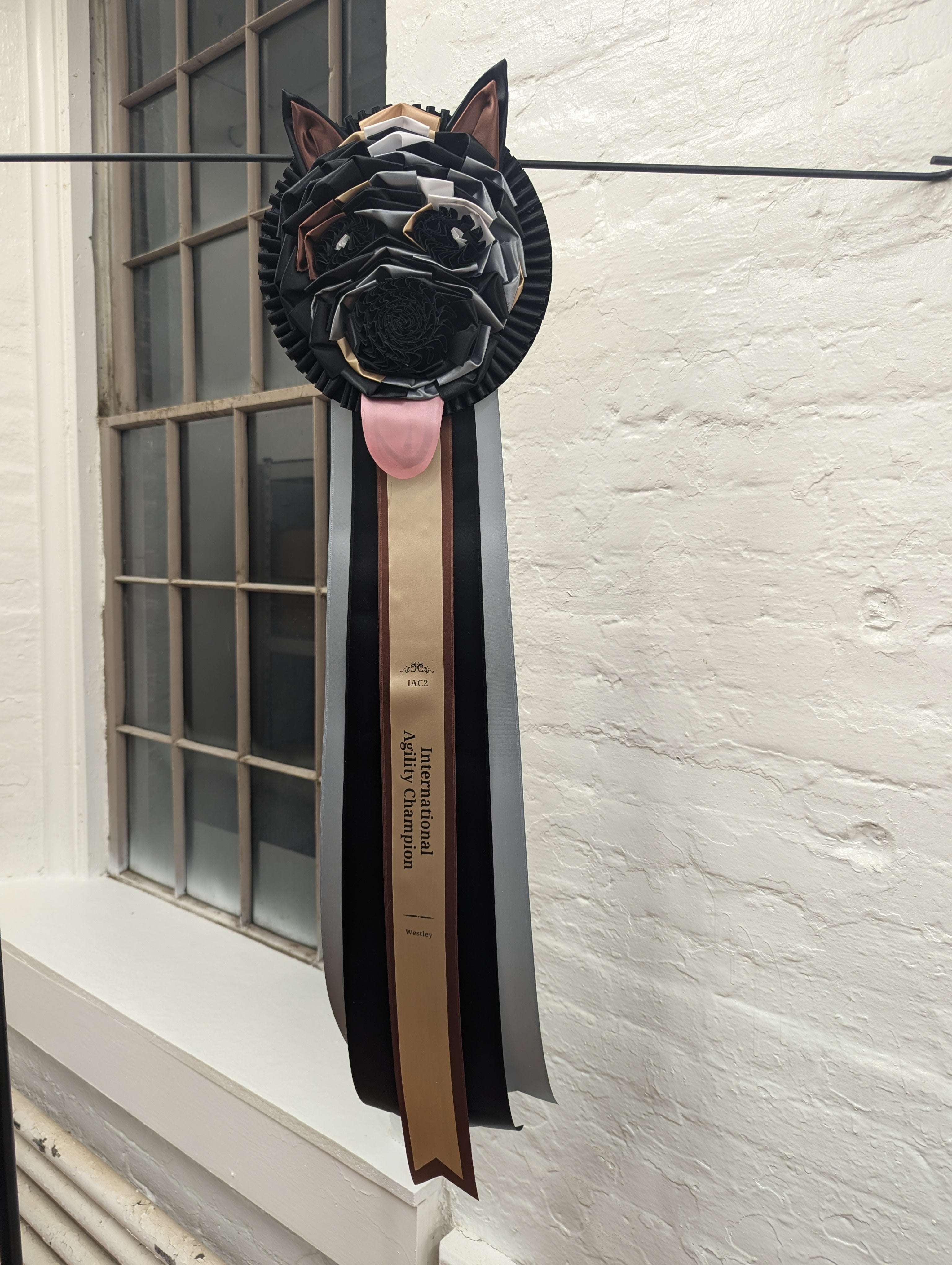 ROSETTE - "CARICITURE" - Studio Finished Rosette - Appx 10" x 28"