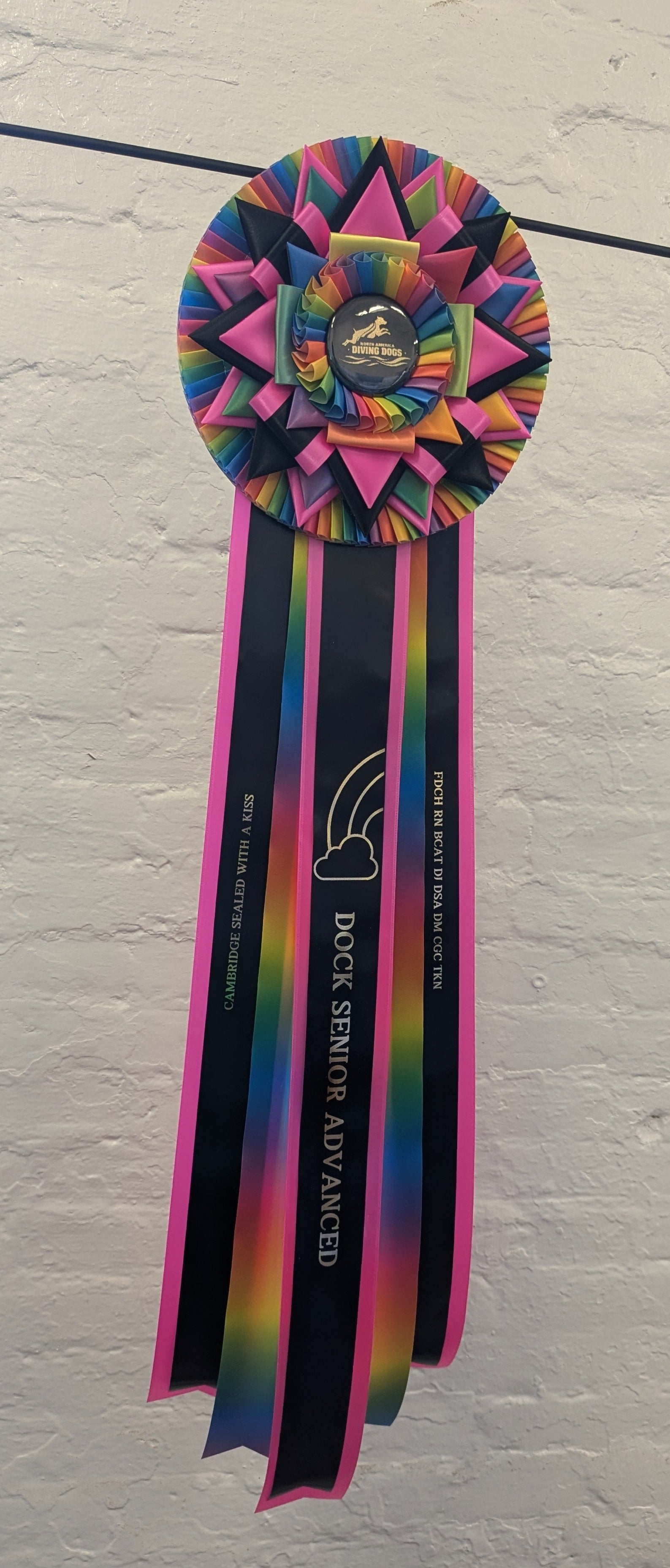 ROSETTE - "Arya" - Studio Finished Rosette - 10"x30"