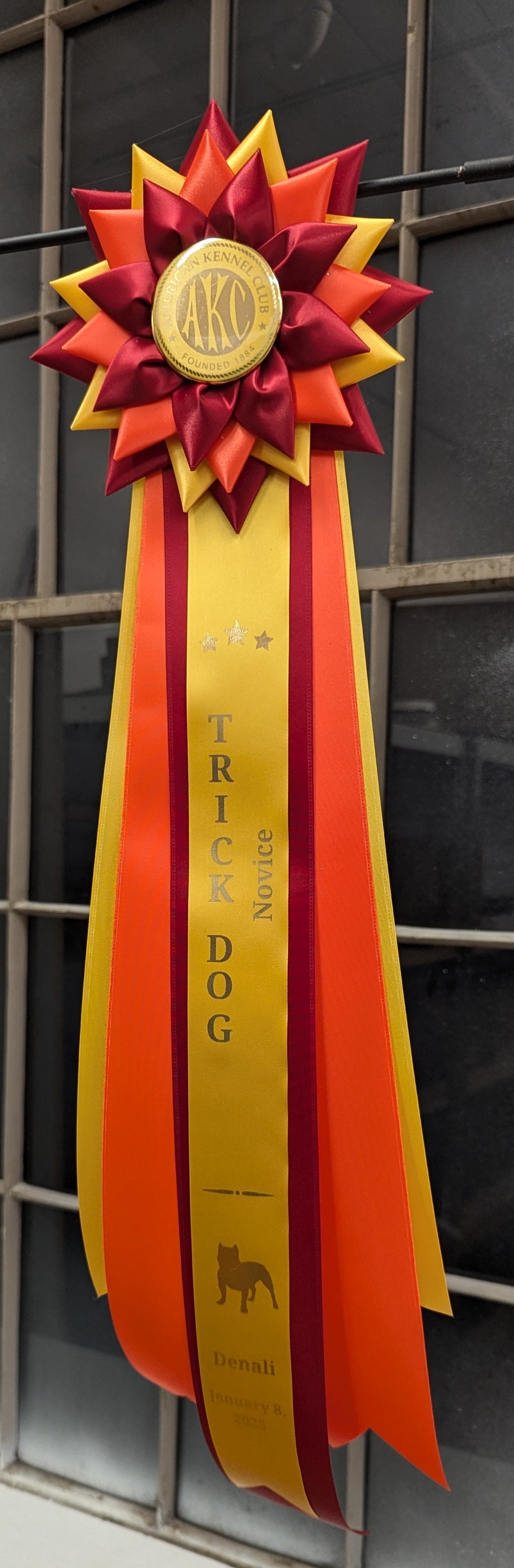 ROSETTE - "Scout" - Studio Finished Rosette - 7.5" x 22"