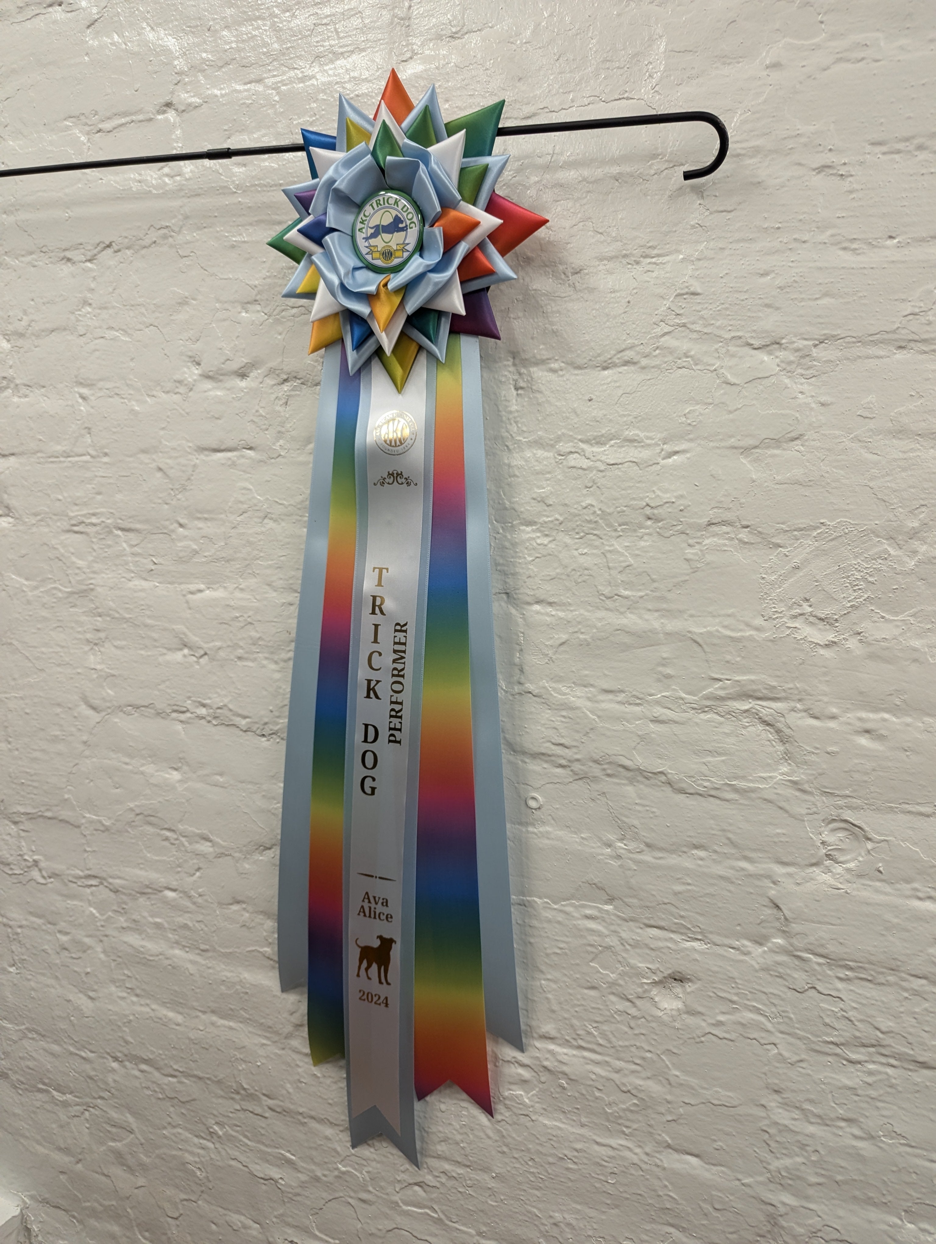 ROSETTE - "Zephyr" - Studio Finished Rosette - 9" × 28"