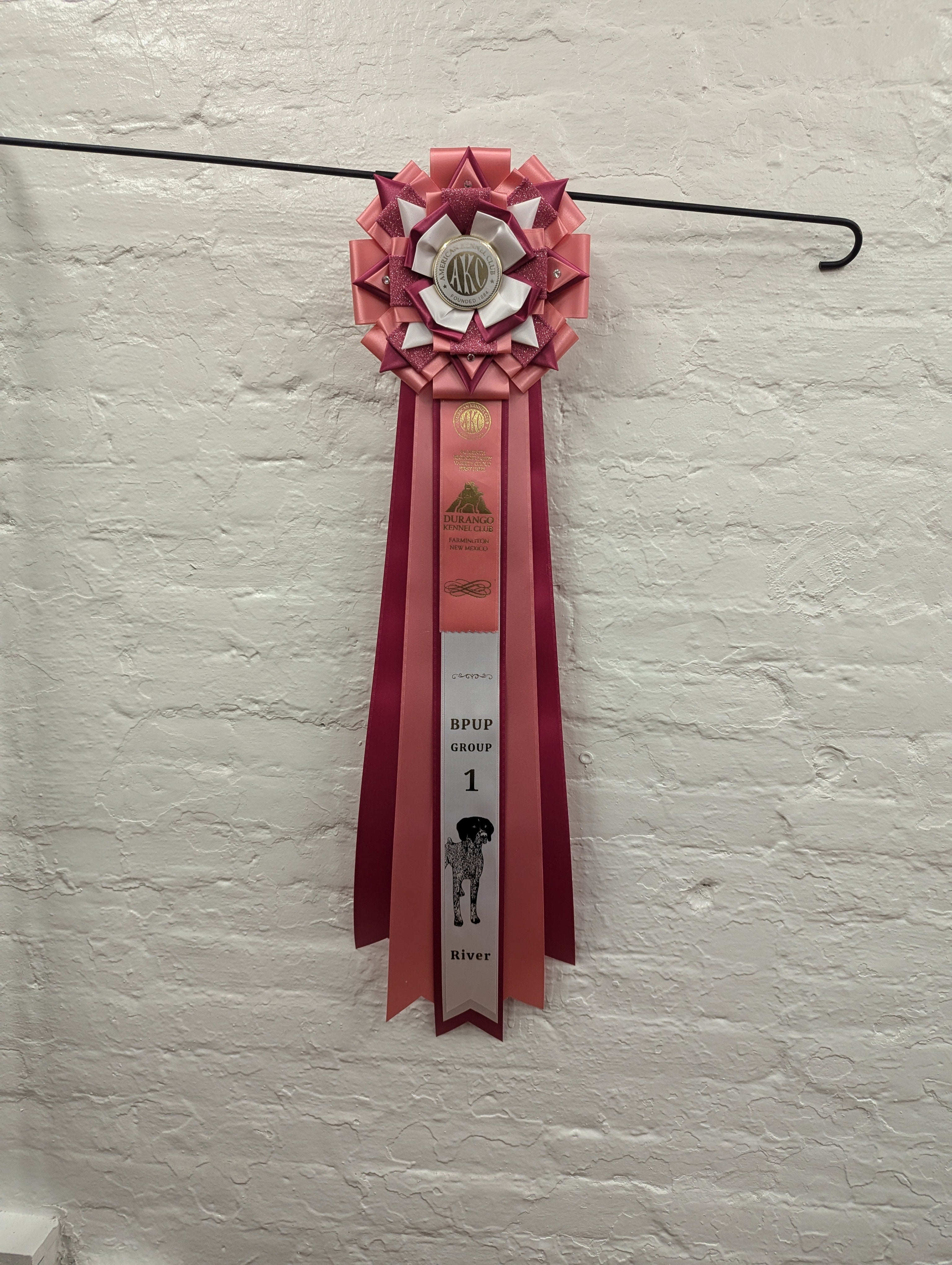 Custom Award Rosette Deposit - UPCYCLING - READ ENTIRE DESCRIPTION