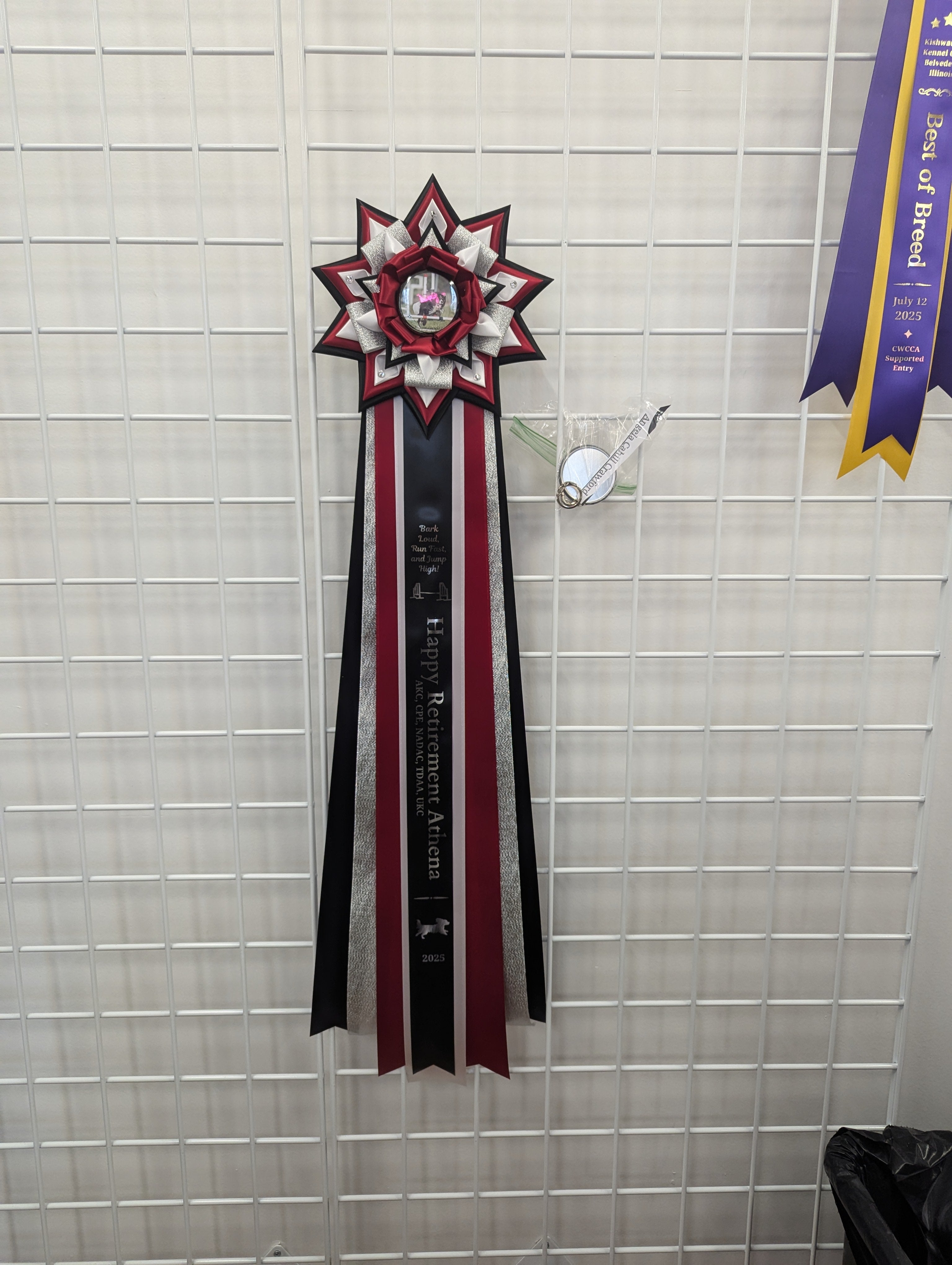 ROSETTE - "Georgie" - Studio Finished Rosette - 9"× 28"