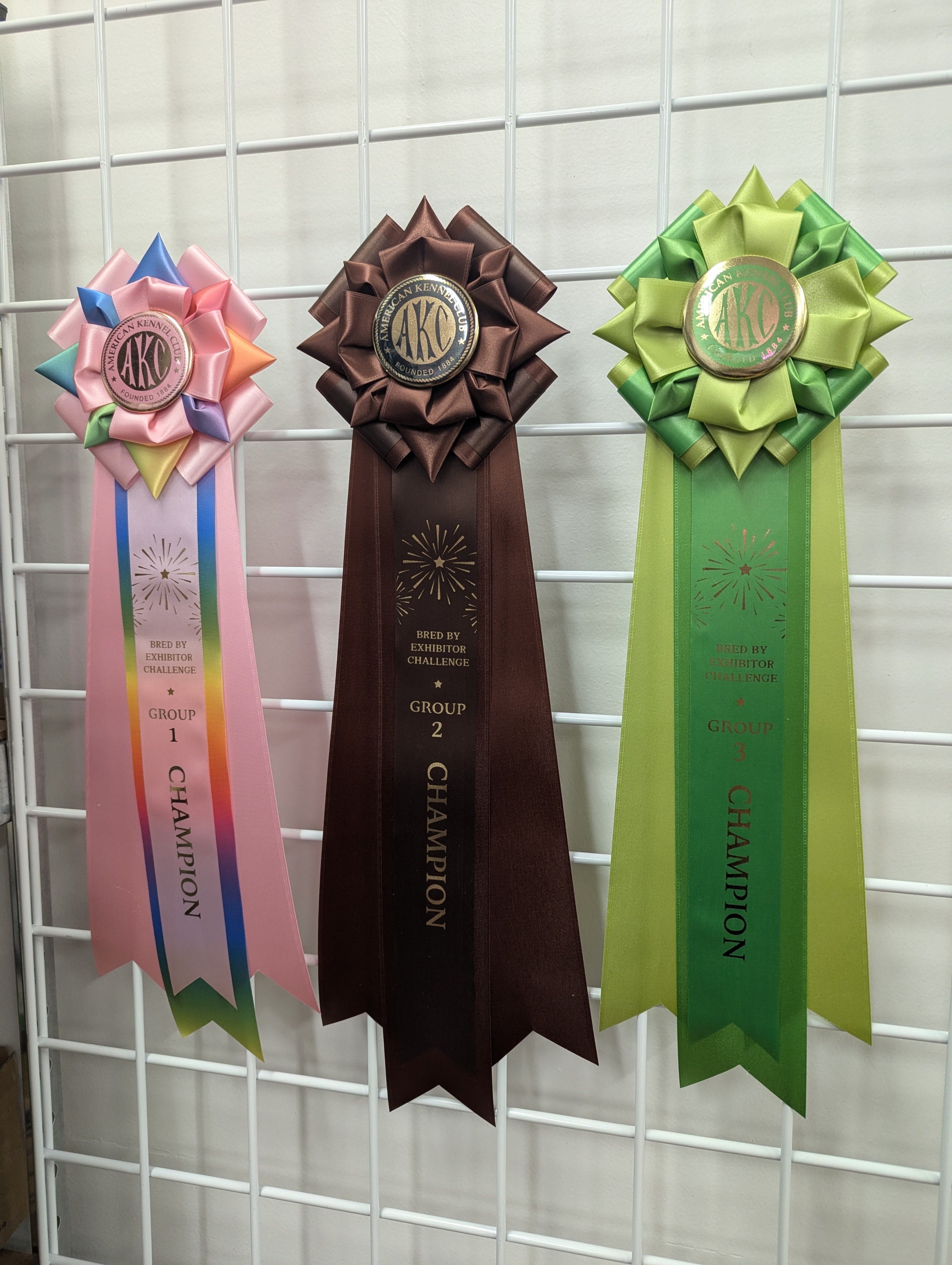 ROSETTE - "Fletcher" - Studio Finished Rosette - 5.5 x 18