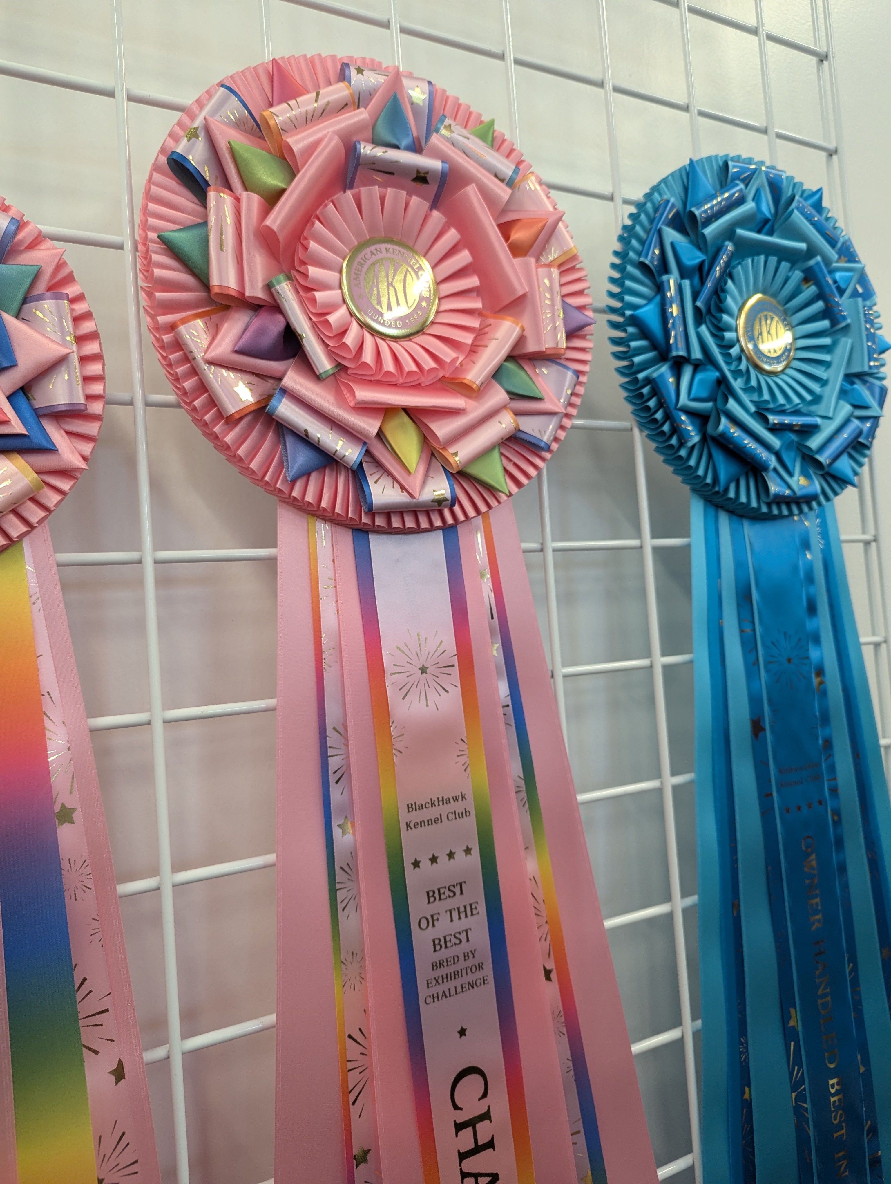 ROSETTE - "Casey" - Studio Finished Rosette  - 10" x 32"