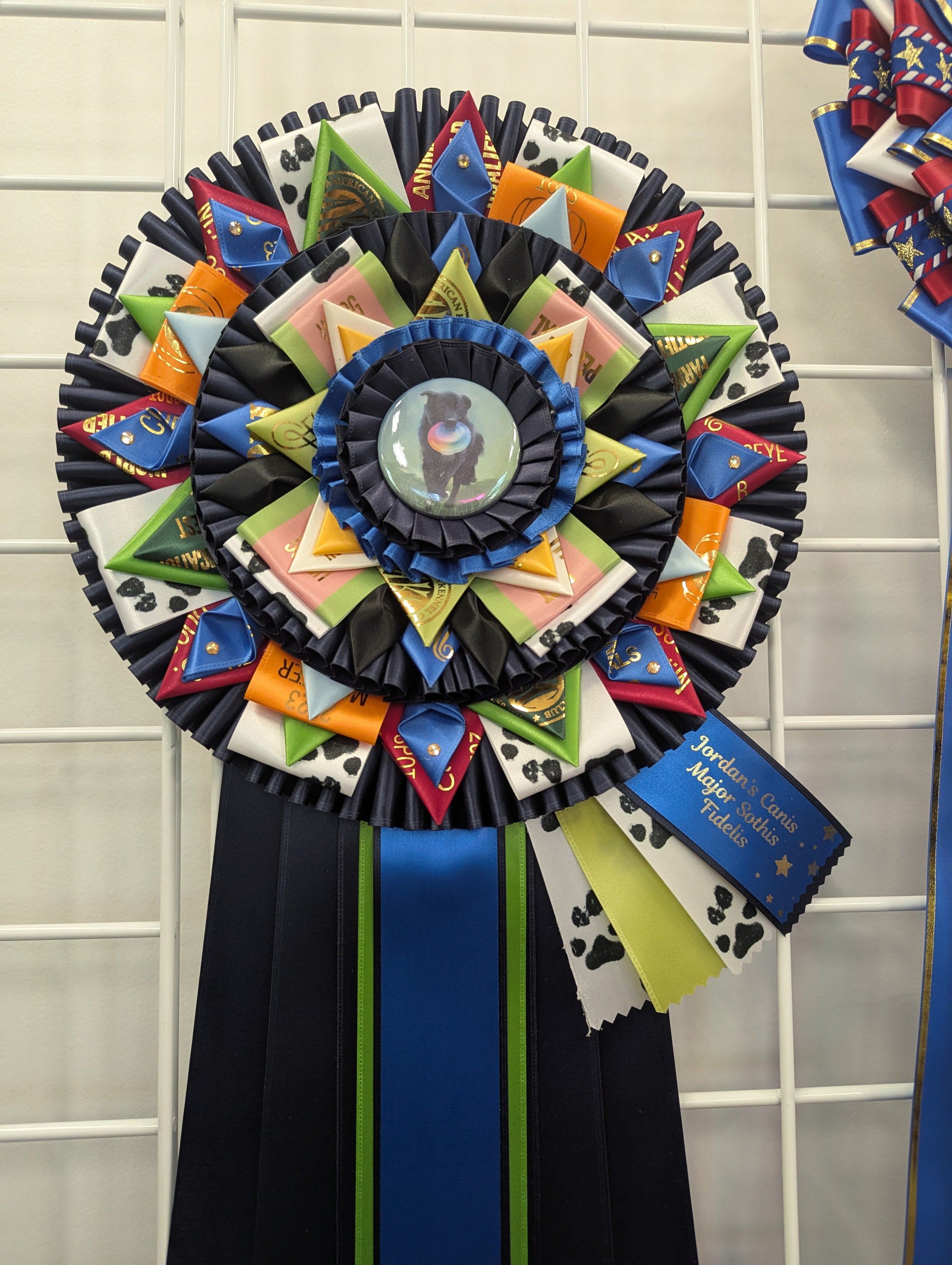 Custom Award Rosette Deposit - UPCYCLING - READ ENTIRE DESCRIPTION