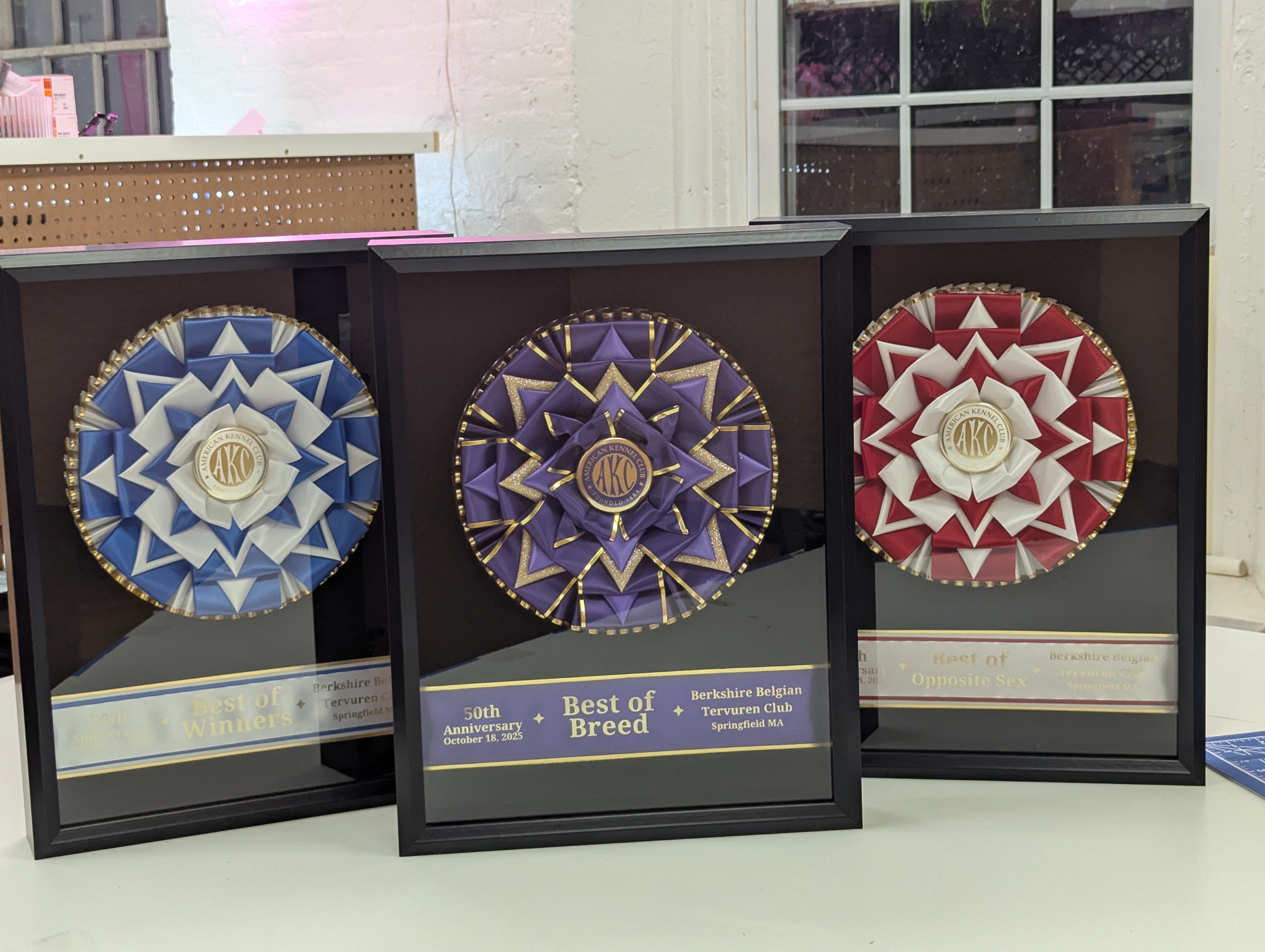 ROSETTE - "Mason" - Studio Finished Shadowbox Rosette - 12" x 16"