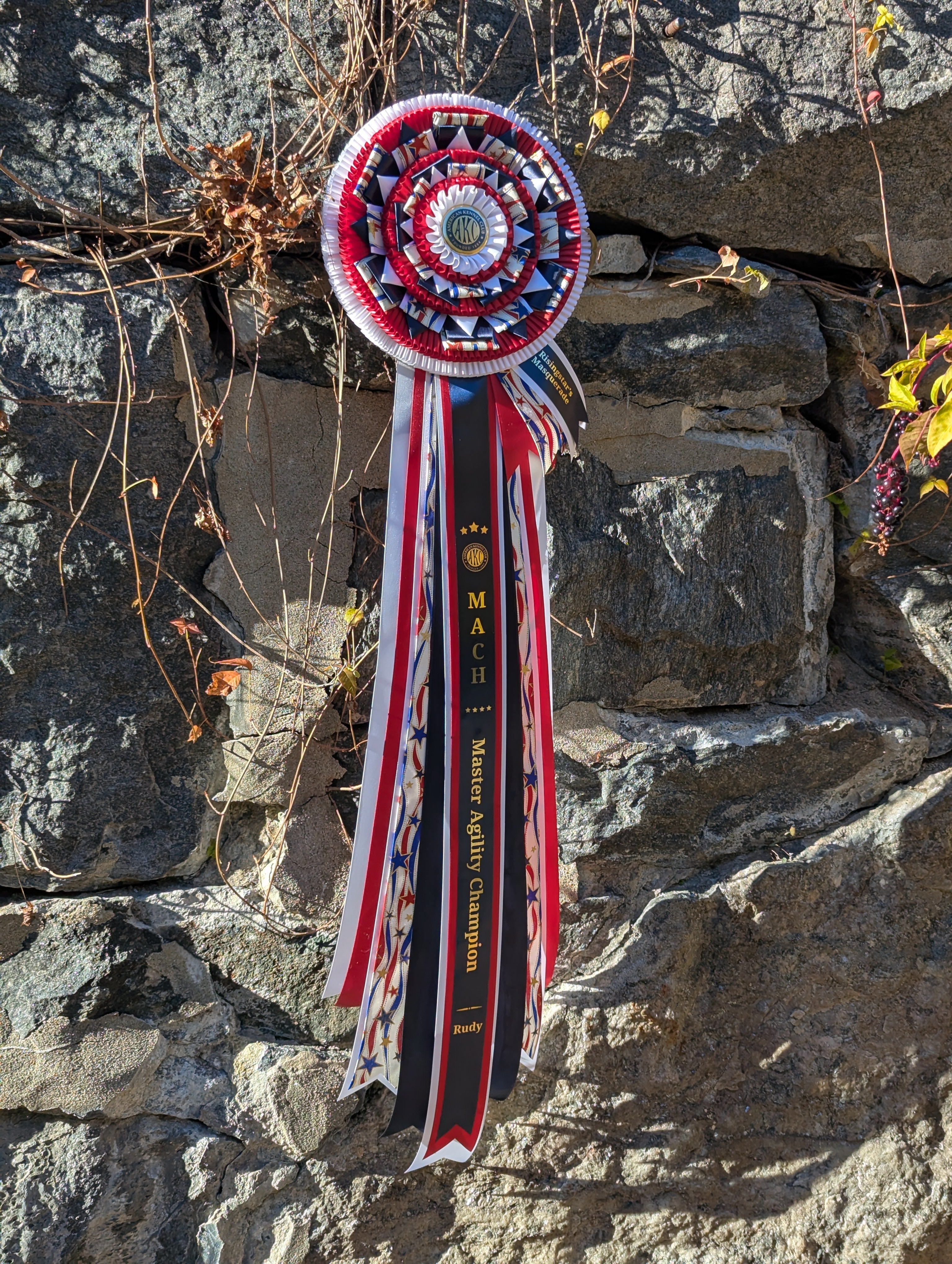 ROSETTE - "Apollo" - Studio Finished Rosette - 12"x36"