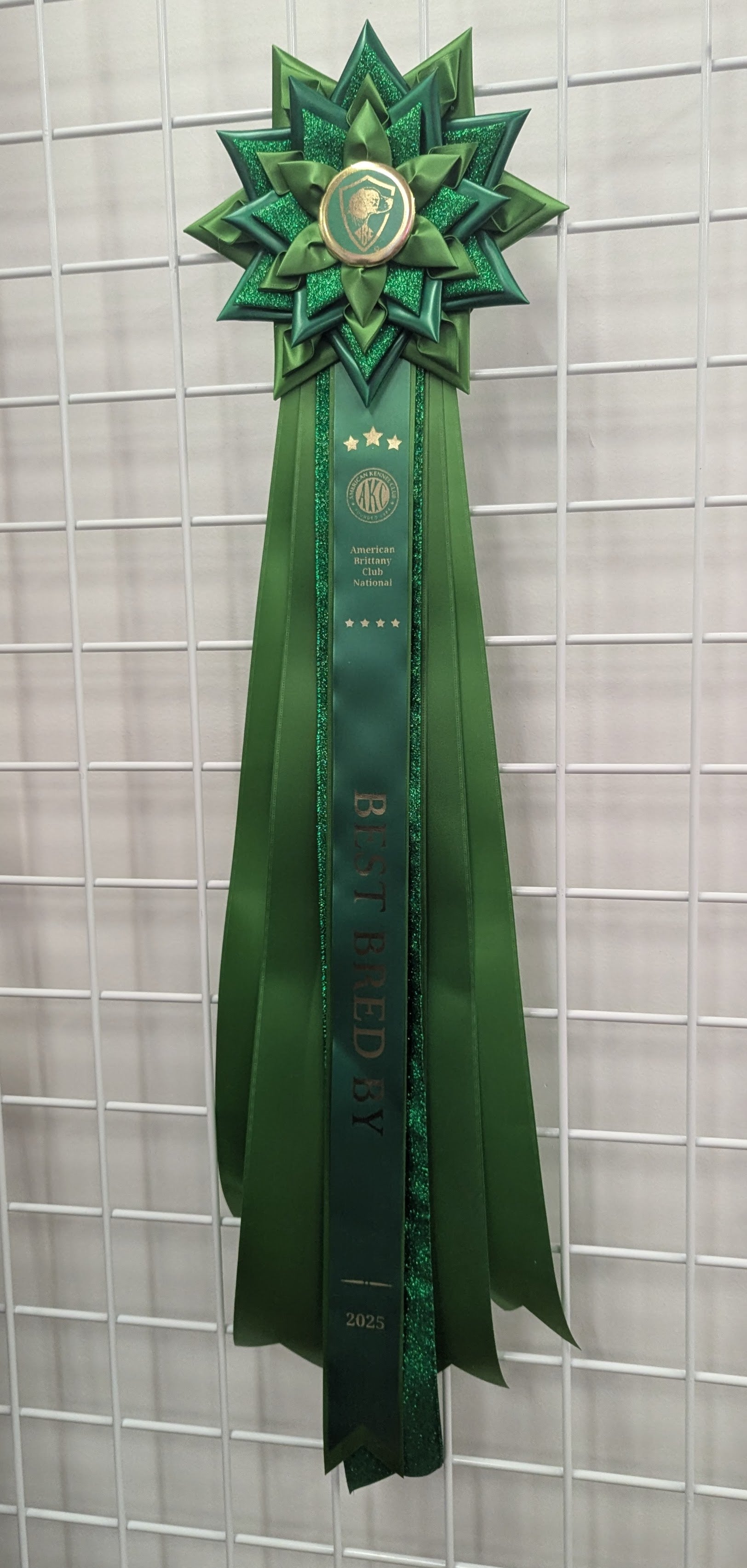 ROSETTE - "Vienne" - Studio Finished Rosette - 9" x 28"