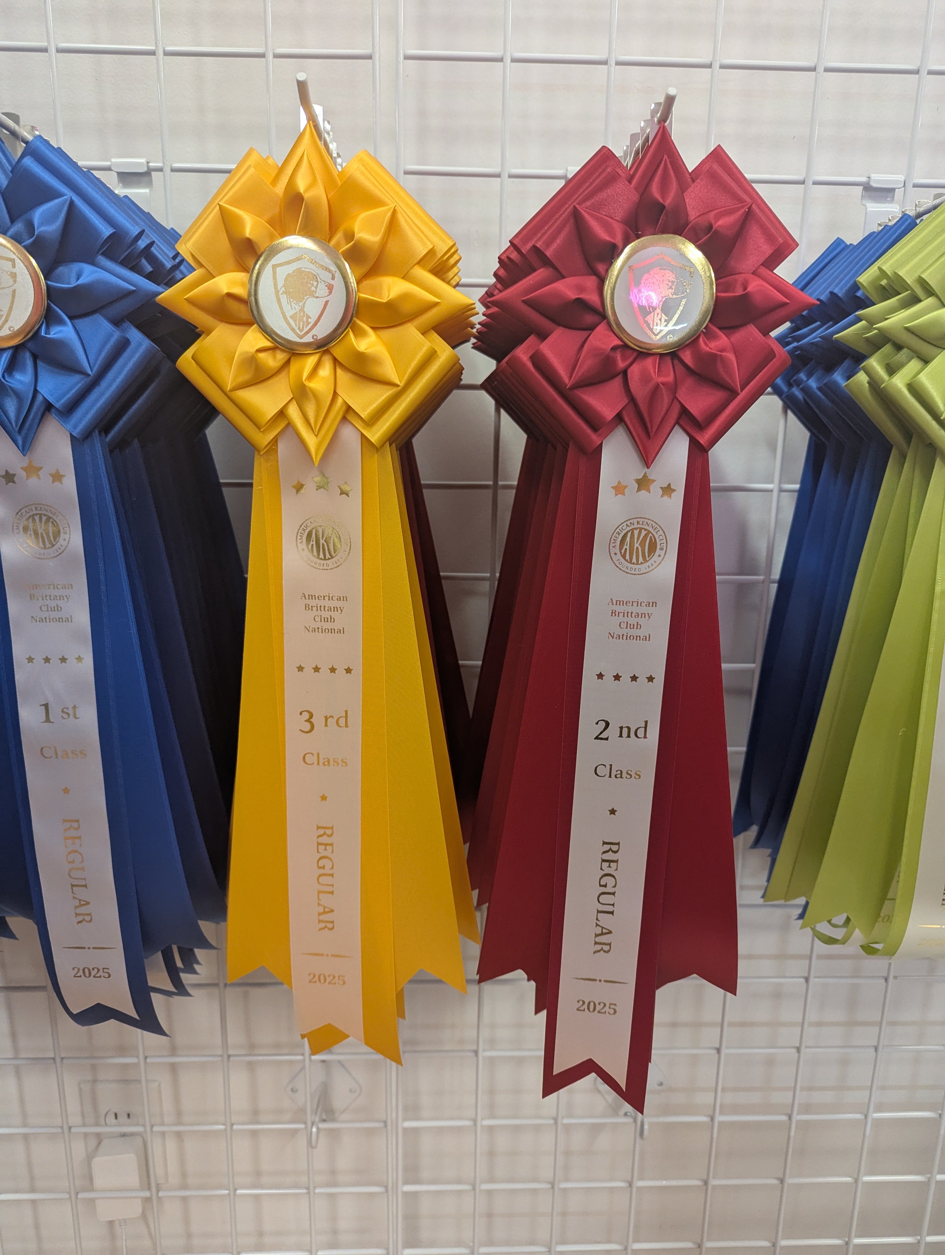 ROSETTE - "Finn" - Studio Finished Rosette - 6.5" x 18"