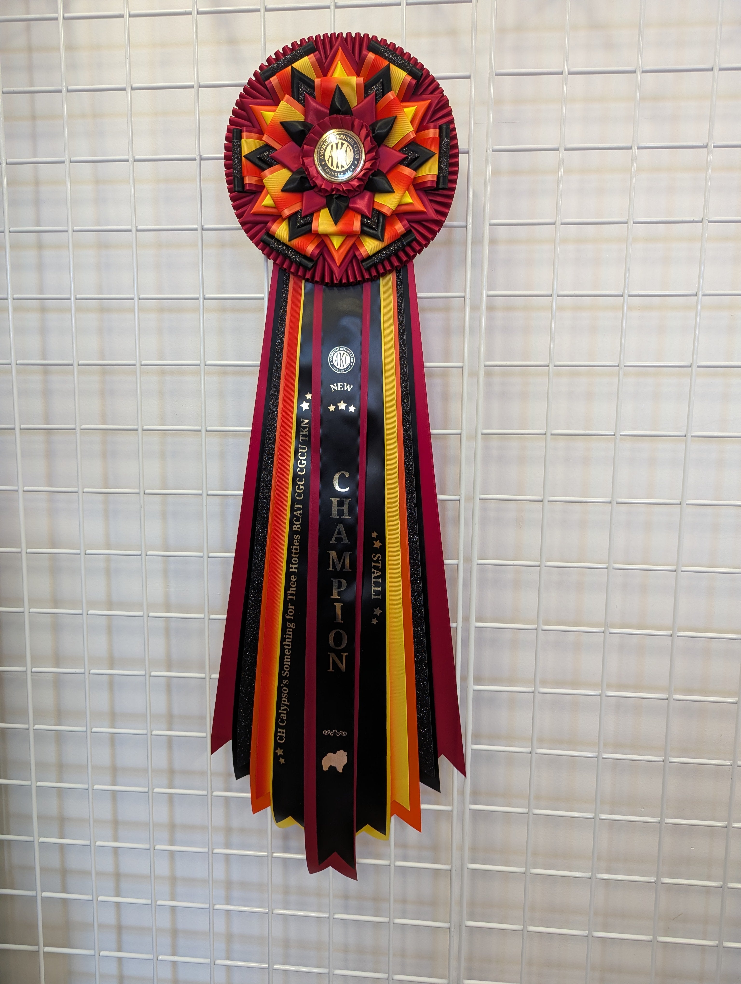 ROSETTE - "Emmy" - Completed Rosette - 9.5" x 30"