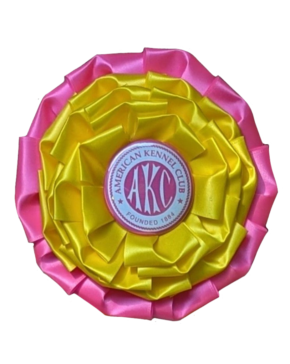 Style B: Ready to Ship Vivid Signature Award Rosette - 6.5" x 20"