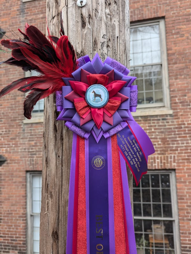 ROSETTE - "Freya" - Studio Finished Rosette - 8.5" x 26"