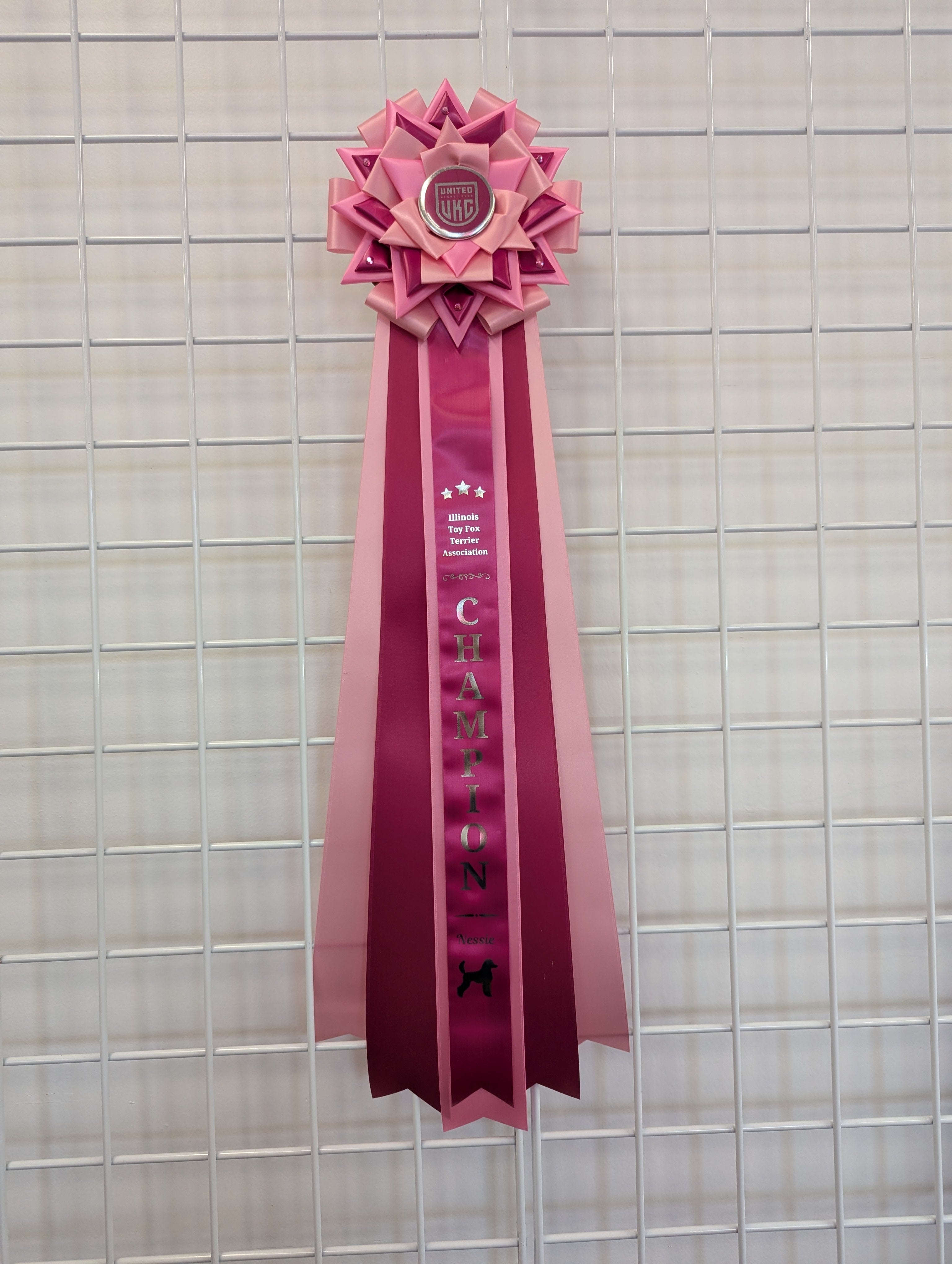 Style A: Ready to Ship Vivid Signature Award Rosette - Multiple sizes Available